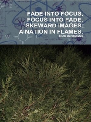 cover image of FADE INTO FOCUS, FOCUS INTO FADE. SKEWARD IMAGES. a NATION IN FLAMES. Early Books.